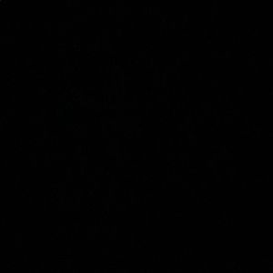 Meet your Posher, Deandre